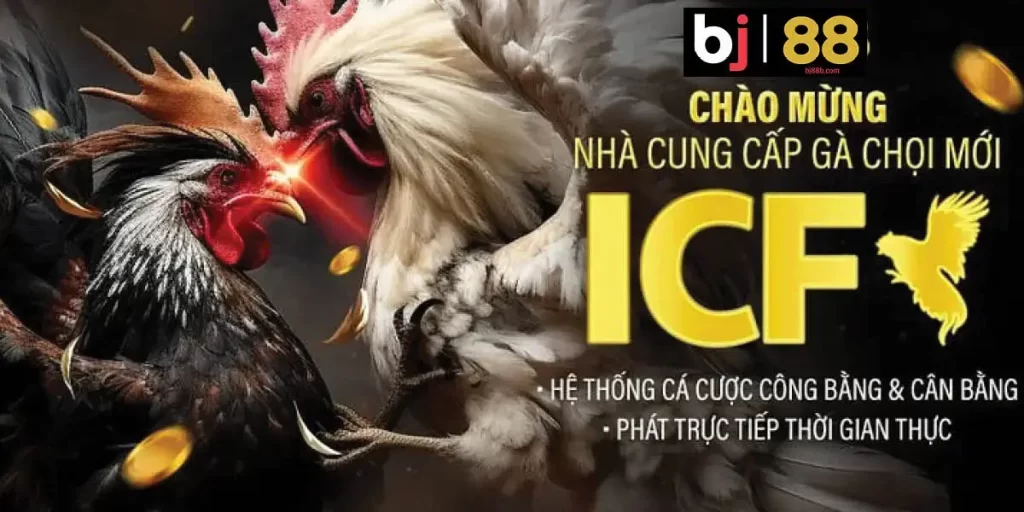 Bj88 - Nâng cao chất lượng dịch vụ sản phẩm